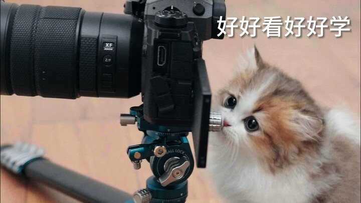 Terlihat sekali ini adalah fotografi profesional!