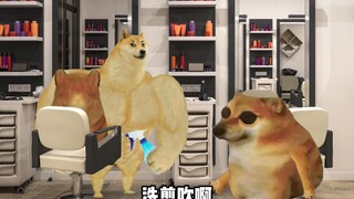 Đây chắc chắn là một cửa hàng đen.