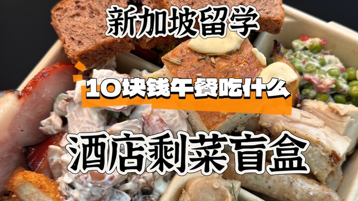 Apa yang bisa dimakan untuk makan siang 10 dolar di Singapura? Kotak misteri sisa makanan hotel!