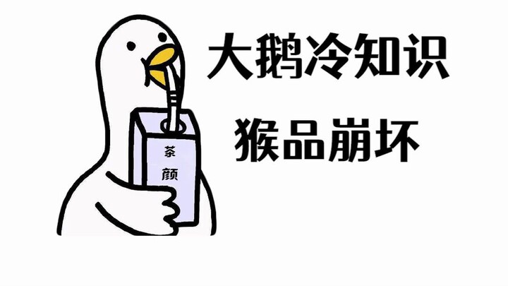 Con khỉ vàng ở bên cạnh, có thể chỉ bảo cho lũ đầu gấu ở núi Nga Mi này không nhỉ?