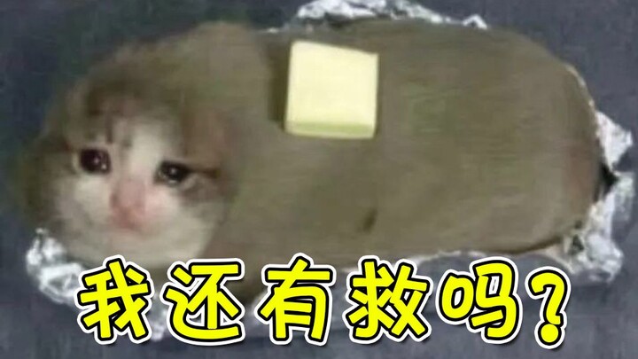 “Tolong, lepaskan aku, aku akan melakukan apa saja!”