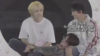 【Quý Bát】Thôi Cốc, cậu nói cho tớ biết đi, cậu và Đại Khố đã làm gì với mấy mét Quý vậy? Nhìn rất đá