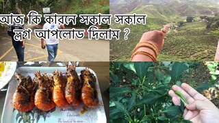 আজ সকাল সকাল কেন ভ্লগ আপলোড করেছি ? কি কারনে ??  আমার সকল ভিউয়াসদের জানাই রমাদান মোবারক ll MS VLOGS,