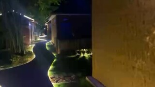 明知相思苦，偏要苦相思，若问相思为何苦，只因相思以入股骨…马克