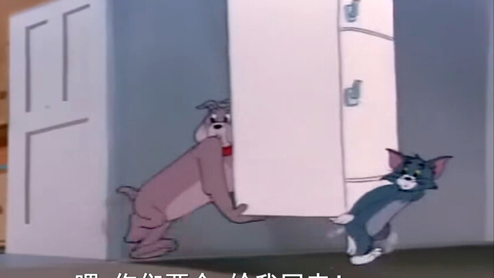 طُرد توم ودوغه، فغضبوا جدًا وحملوا الثلاجة بعيدًا!