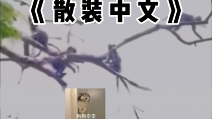 《 没想到还有零售的中文 》