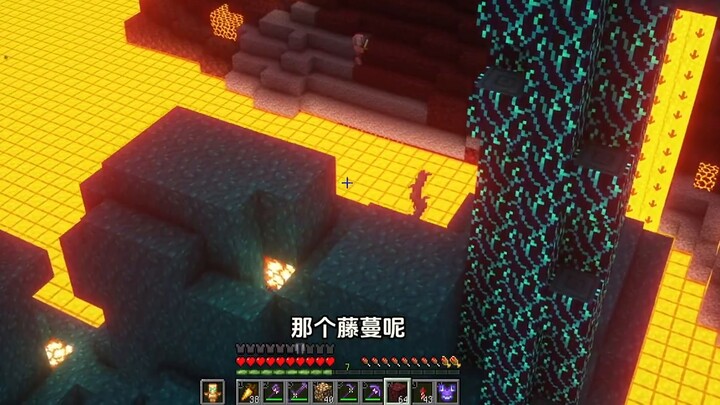 Minecraft collected all biomes and built a big tree with 260,000 blocks