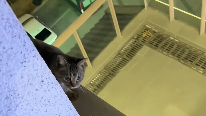 الثانية السابقة: ميمي، تعالي! الثانية التالية: القبضة التي لا تُمحى!