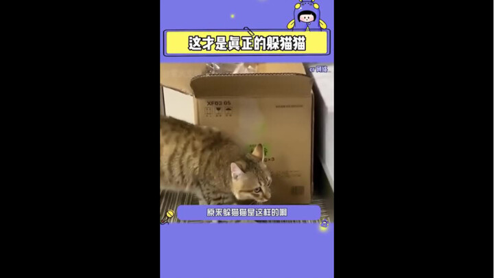 مين يلعب الغماية ويخبّي بطنو الصغير؟!