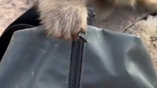 就是不知道为啥，就是觉得好好笑，哈哈