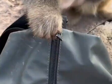 就是不知道为啥，就是觉得好好笑，哈哈