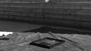 cliff find a clue