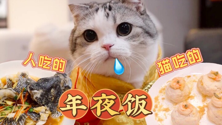 Khi tôi đang nấu bữa tối đêm giao thừa, tôi mang con mèo vào bếp, và con mèo bắt đầu nói chuyện phiế