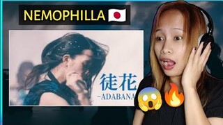 Nemophilla - Adabana [ MV] || Reaction