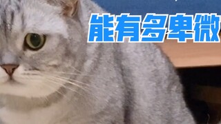 ฉันไม่ชอบเพราะฉันเต็มไปด้วยเรื่องไร้สาระซึ่งทำให้ฉันหัวเราะ...