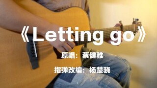 【Short】这一段好听哭了！吉他版《Letting Go》by蔡健雅（Short.Ver）