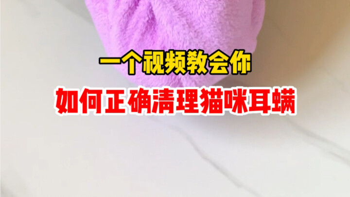 One Video Teaches You How to Properly Treat Your Cat’s Ear Mites