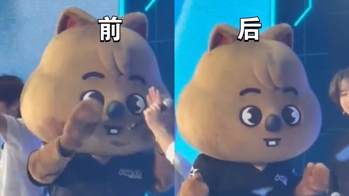 【Han Jicheng】Lần này tôi đã biết lấy khoai tây đắp mặt rồi, đừng có chê tôi nữa nhé!