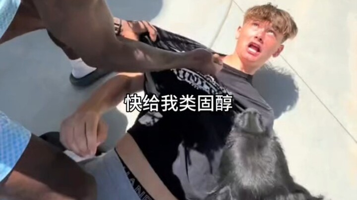 ดีเอ็นเอที่ชอบใช้สเตียรอยด์