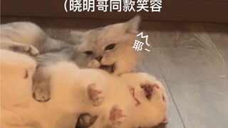 小样！怎么跑的出我的手掌心！