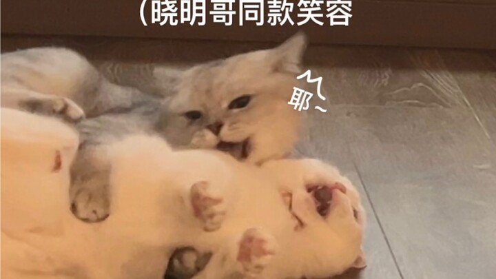 小样！怎么跑的出我的手掌心！