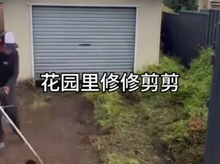 Memangkas dan Merapikan di Taman