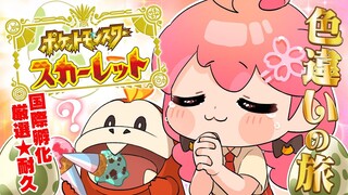 【 ポケモンSV 】９日目 みんなの運をオラに分けてくれ――ッ！～ ホゲータ色違いが欲しい旅 ～【ホロライブ/さくらみこ】
