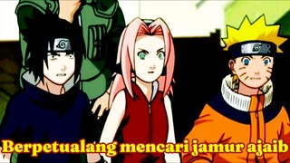 Berpetualang mencari jamur ajaib🤣🤣🤣