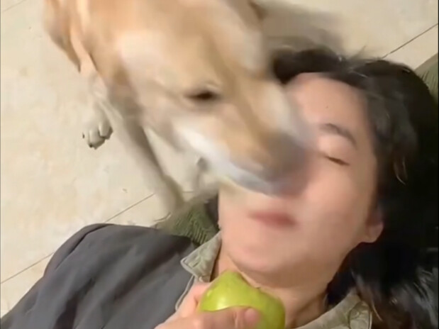 【เอไอสุดแหวกแนว】ไปคุยอะไรกับเอไรมากันนะ? ถึงทำให้เอไอเป็นแบบนี้ได้?! 🥵