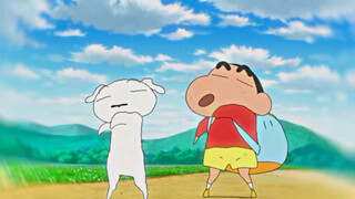 Xiaobai is not an ordinary white dog