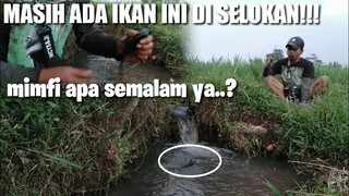 MANCING DI SELOKAN DAPET IKAN MAHAL||langsung goyang nunging