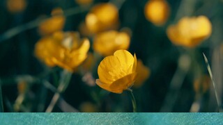 How do I speak directly to Coinbase?((Issue~Tracker))