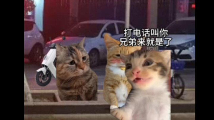 喝酒全是兄弟情，口供全是兄弟名