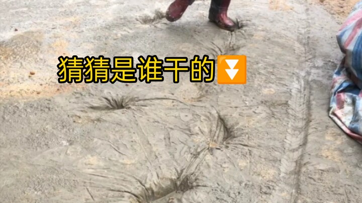 高端的推理只需要一瓶酒