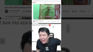 DEFINISI WINDAH BATUBARA 😂