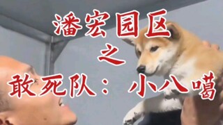 ทีมเสี่ยงตายในเขตอุตสาหกรรมพานหง: เสี่ยวปาคา