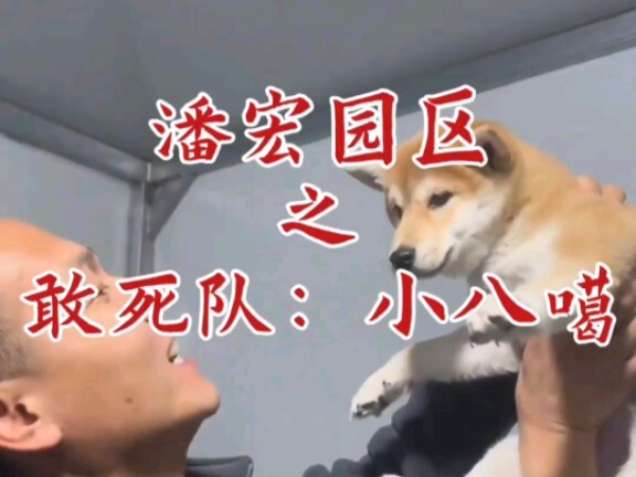 潘宏园区之敢死队：小八噶