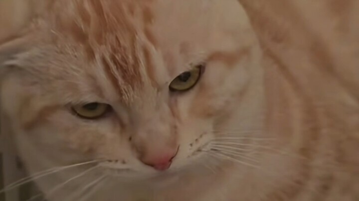 I heard you tell everyone I’m dead.