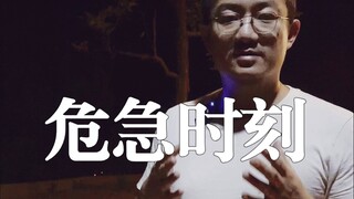 เวลานี้คุณเอาความปลอดภัยของเด็กมาเดิมพันกับความน่ารักของสุนัขเหรอ?