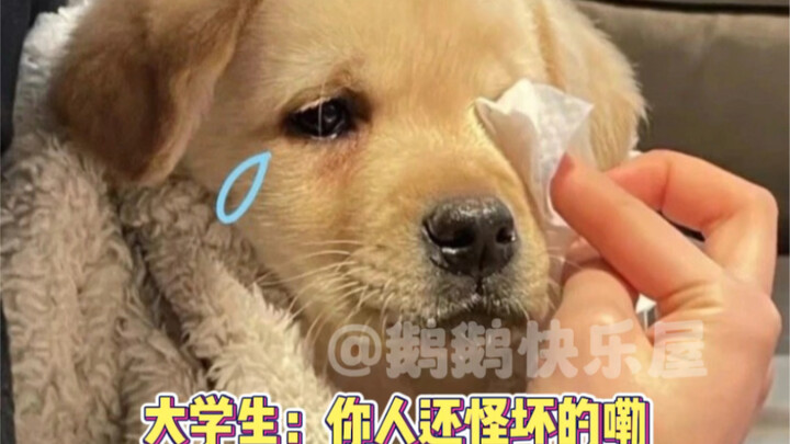 นักศึกษามหาวิทยาลัยยังไม่ทันจบก็ได้สัมผัสความโหดร้ายของสังคมแล้ว