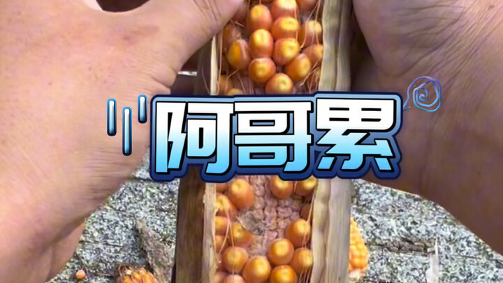 新手的美好乡村生活，理想跟现实还是有差距的…