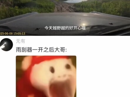 雨刮器一开，给对面大哥吓得脸都绿了