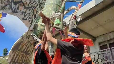 burung terbang tinggi