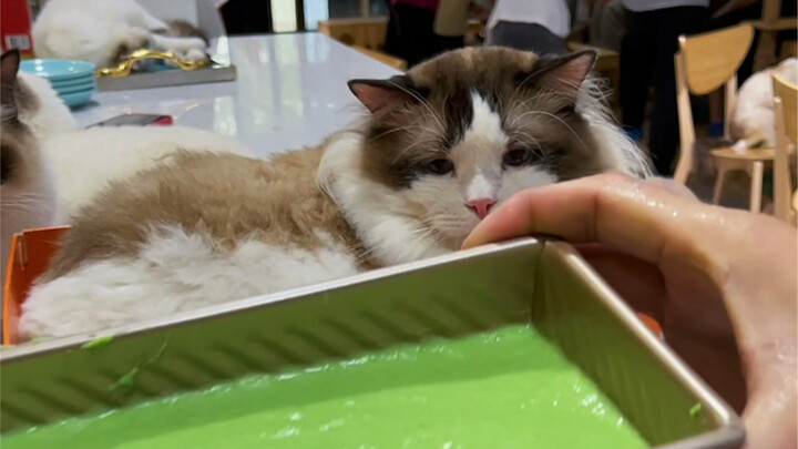 ของที่ระลึกเล็กๆ ที่จำลองอย่างละเอียด