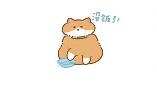 No food! ! Hungry our kitty! All thin!