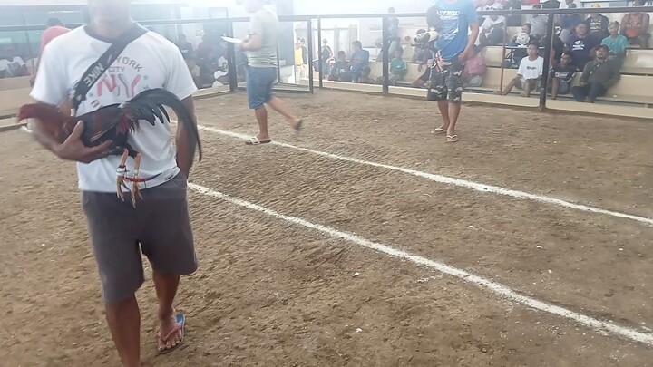 fasteskill first fight