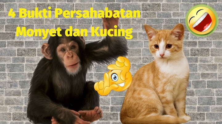 WoW, ini 4 Bukti Kalau Kucing Bersahabat Erat dengan Monyet