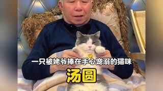 How happy can a cat be who is spoiled by his grandfather with his pension?