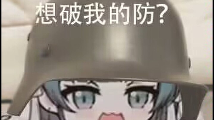 柴郡柴郡柴？