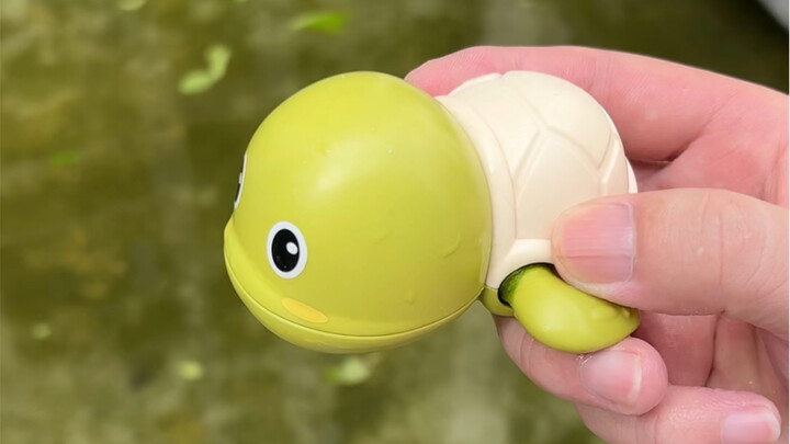 What should I do? Need help ASAP… So urgent!